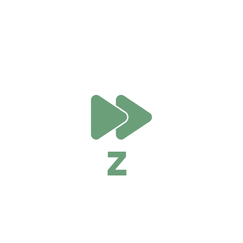 Economic Visibility Score: A Practical Definition